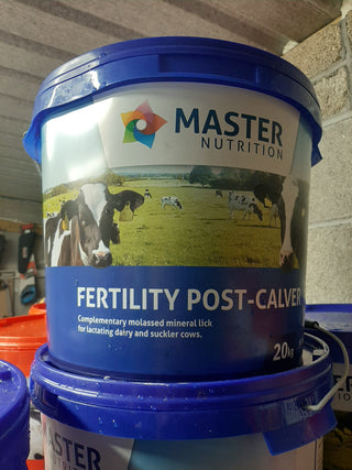 Master Fertility Mineral Block 20kg