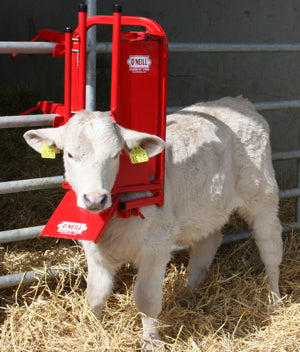 O’Neill Calf & Sheep Staller