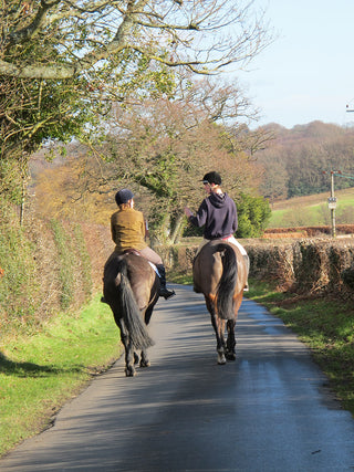 Equine