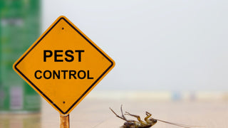 Pest Control