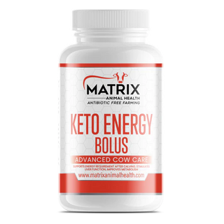 Keto Energy Bolus