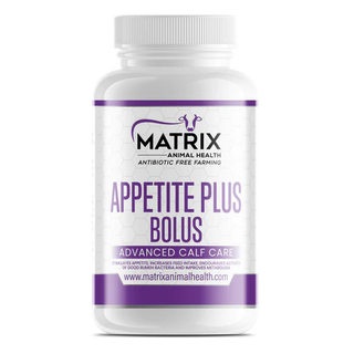 Appetite Plus Bolus