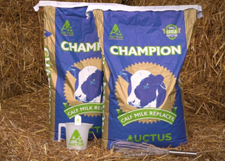 CHAMPION CALF MILK REPLACER 30 X 20KG BAGS