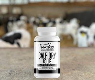Matrix Calf Dry -