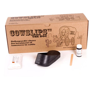 Cowslips 40  Pack (Mixed)