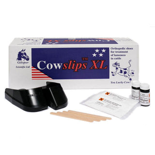 Cowslips 40  Pack (Mixed)