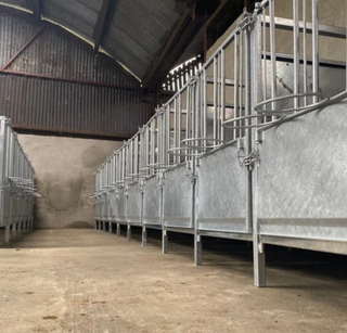INDIVIDUAL CALF PEN OFFER ***