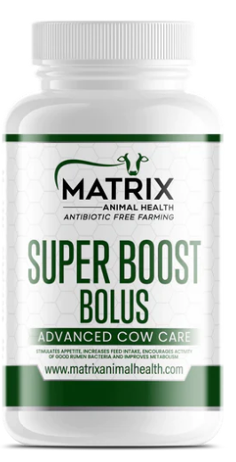 Matrix Super Boost Bolus