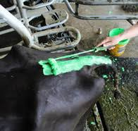 FIL Tail Mate Paint Roller