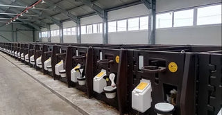 Calf Pens with 4 Sides