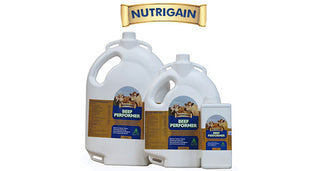 NUTRIGAIN BEEF PERFORMER Auctus