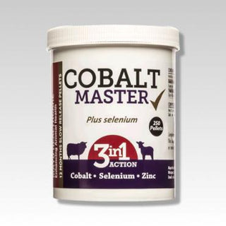 Cobalt Master Sheep