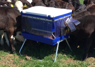Stockman Meal Feeder (75kg)