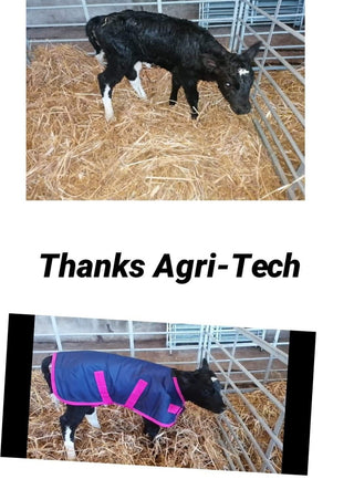 Premium Calf Jacket