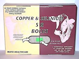 Copper & Selenium SR Bolus (24’s)
