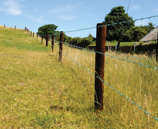 Creosoted Stakes 5 Ft x 3-4 inches (210 Posts) & Strainers 8 Ft (15 Posts) Fencing