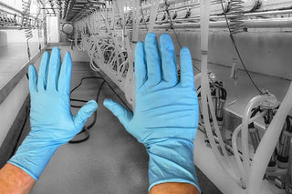 Heavy-Duty Blue Nitrile Powder Free Disposable Gloves