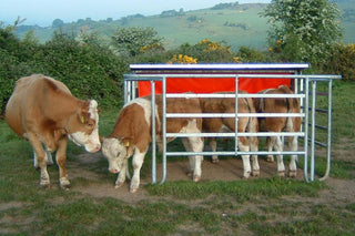 Mobile Calf Creep Feeder